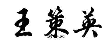 胡問遂王策英行書個性簽名怎么寫