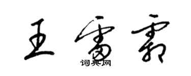 梁錦英王雷霜草書個性簽名怎么寫