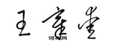 駱恆光王章愛草書個性簽名怎么寫