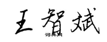 王正良王智斌行書個性簽名怎么寫
