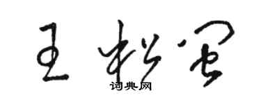 駱恆光王松閩草書個性簽名怎么寫