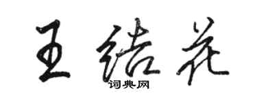 駱恆光王結花行書個性簽名怎么寫