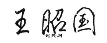 駱恆光王昭國行書個性簽名怎么寫