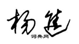 朱錫榮楊進草書個性簽名怎么寫