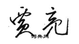 駱恆光賈亮草書個性簽名怎么寫