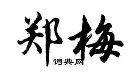 胡問遂鄭梅行書個性簽名怎么寫