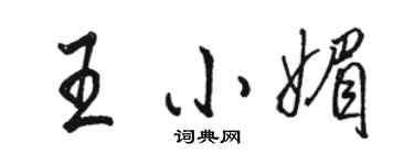 駱恆光王小媚行書個性簽名怎么寫