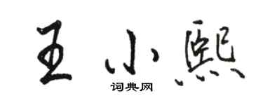 駱恆光王小熙行書個性簽名怎么寫