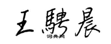 王正良王騁晨行書個性簽名怎么寫