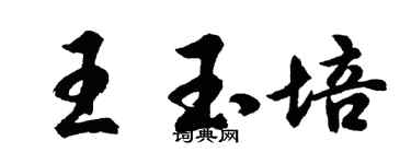 胡問遂王玉培行書個性簽名怎么寫