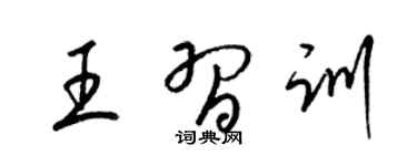 梁錦英王習訓草書個性簽名怎么寫
