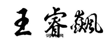 胡問遂王睿飆行書個性簽名怎么寫