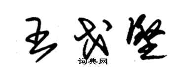 朱錫榮王戈堅草書個性簽名怎么寫
