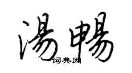 王正良湯暢行書個性簽名怎么寫