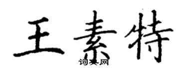 丁謙王素特楷書個性簽名怎么寫