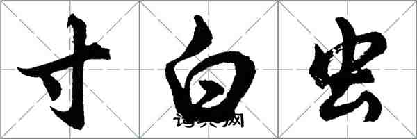 胡問遂寸白蟲行書怎么寫