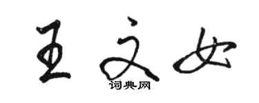 駱恆光王文女行書個性簽名怎么寫