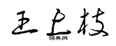 曾慶福王上枝草書個性簽名怎么寫
