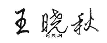 駱恆光王曉秋行書個性簽名怎么寫