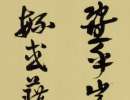徐渭草書書法作品欣賞_徐渭草書字帖(第11頁)_書法字典