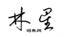 梁錦英林星草書個性簽名怎么寫