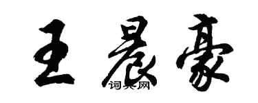 胡問遂王晨豪行書個性簽名怎么寫