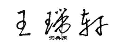 駱恆光王瑞軒草書個性簽名怎么寫