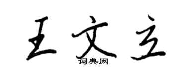 王正良王文立行書個性簽名怎么寫