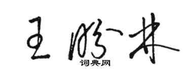 駱恆光王盼林草書個性簽名怎么寫