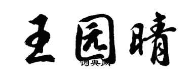 胡問遂王園晴行書個性簽名怎么寫