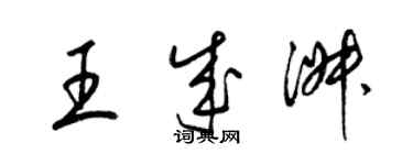 梁錦英王成淑草書個性簽名怎么寫