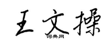 王正良王文操行書個性簽名怎么寫