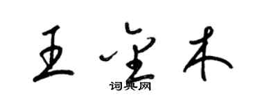 梁錦英王金木草書個性簽名怎么寫