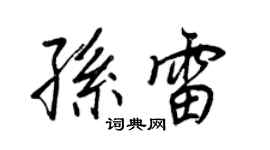 王正良孫雷行書個性簽名怎么寫