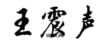 胡問遂王震聲行書個性簽名怎么寫