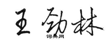 駱恆光王勁林行書個性簽名怎么寫