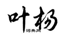 胡問遂葉楊行書個性簽名怎么寫