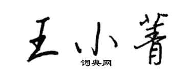 王正良王小菁行書個性簽名怎么寫