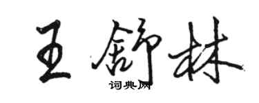 駱恆光王舒林行書個性簽名怎么寫