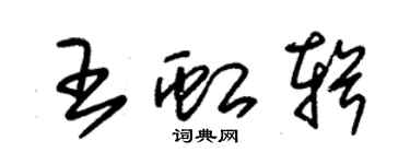 朱錫榮王虹輯草書個性簽名怎么寫