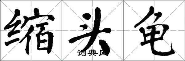 翁闓運縮頭龜楷書怎么寫