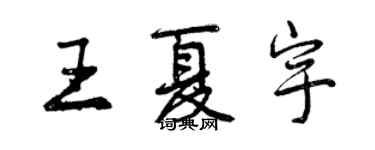 曾慶福王夏宇行書個性簽名怎么寫