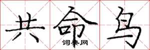 龐中華共命鳥楷書怎么寫