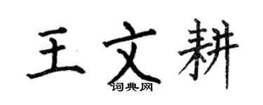 何伯昌王文耕楷書個性簽名怎么寫