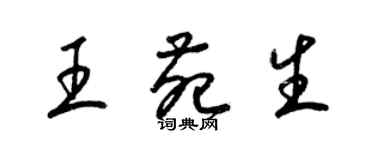 梁錦英王苑生草書個性簽名怎么寫