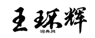 胡問遂王環輝行書個性簽名怎么寫