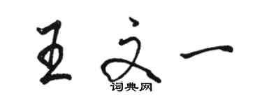 駱恆光王文一行書個性簽名怎么寫