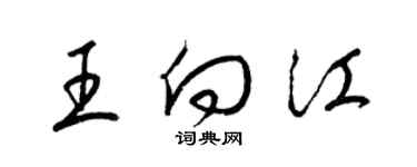 梁錦英王向江草書個性簽名怎么寫