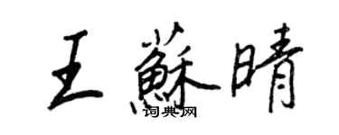 王正良王蘇晴行書個性簽名怎么寫