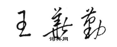 駱恆光王華勤草書個性簽名怎么寫